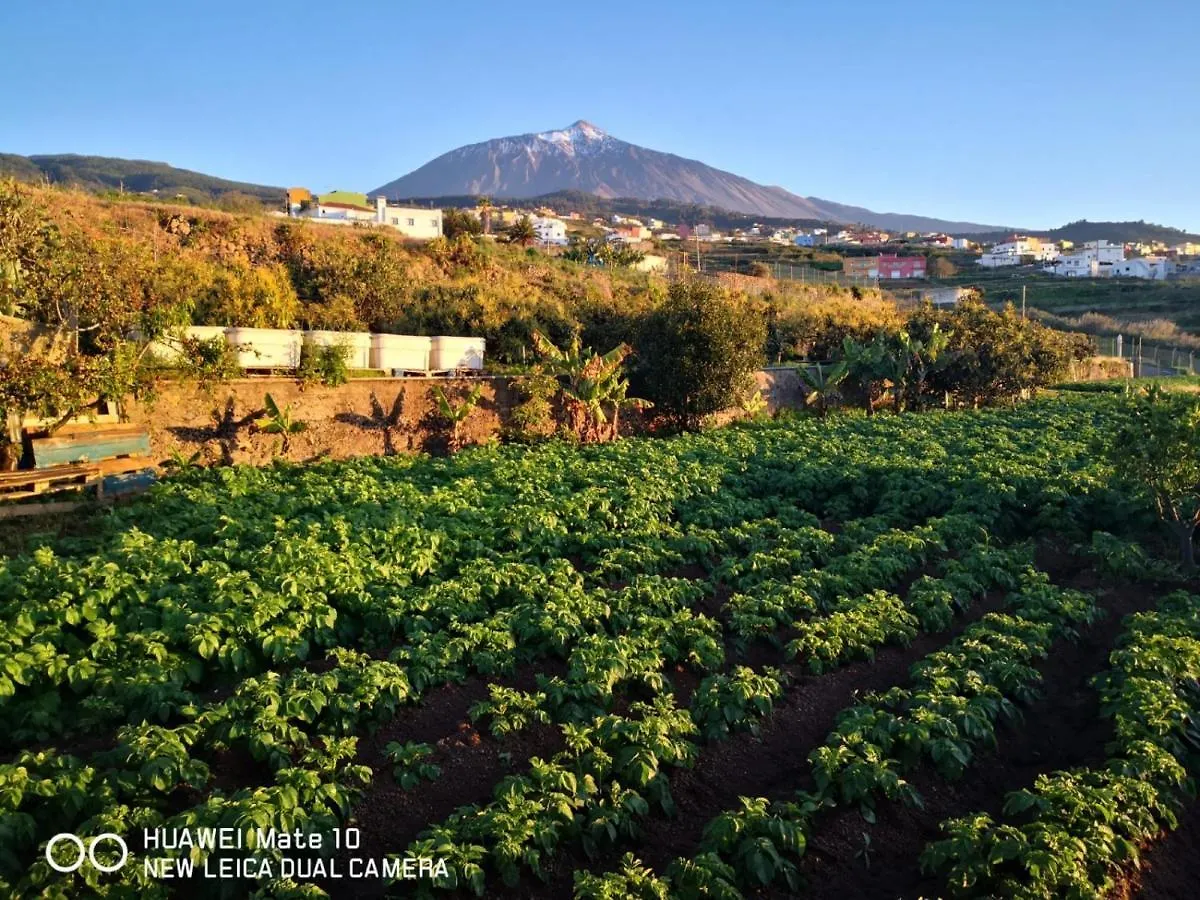 Finca Los Angeles Сан-Хуан-де-ла-Рамбла