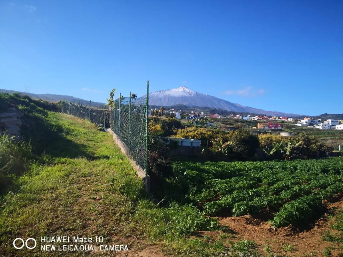 Дом отдыха Finca Los Angeles Сан-Хуан-де-ла-Рамбла